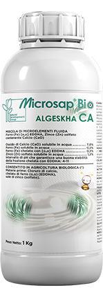 MicroSap-Algeskha-CA-kg1