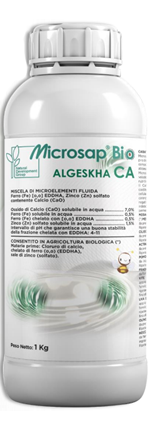 MicroSap-Algeskha-CA-kg1