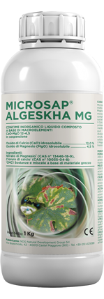 MicroSap-Algeskha-kg1