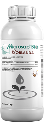 MicroSap-BIO_BORLANDA-kg1