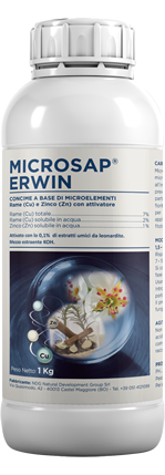 MicroSap-ERWIN-kg1