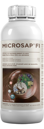 MicroSap-FI-kg1