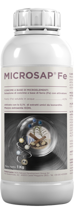 MicroSap-Fe-kg1