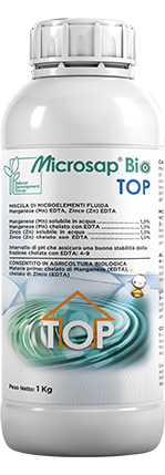 MicroSap-TOP-kg1
