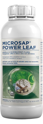 MicroSap-power-leaf-kg1